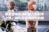 探索红袖视频的魅力与创作之旅，揭开短视频时代的新风潮