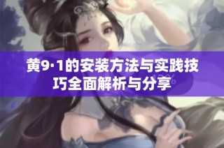 黄9·1的安装方法与实践技巧全面解析与分享