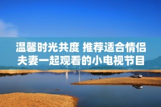 温馨时光共度 推荐适合情侣夫妻一起观看的小电视节目合集