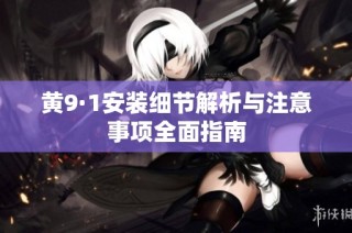 黄9·1安装细节解析与注意事项全面指南