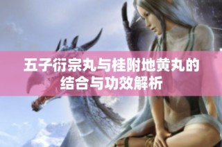 五子衍宗丸与桂附地黄丸的结合与功效解析