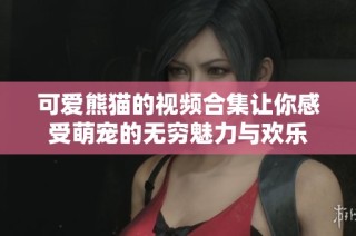 可爱熊猫的视频合集让你感受萌宠的无穷魅力与欢乐