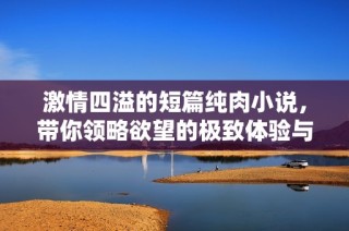 激情四溢的短篇纯肉小说，带你领略欲望的极致体验与深刻情感