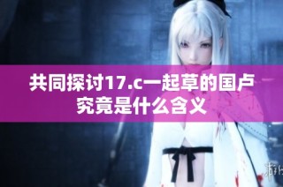 共同探讨17.c一起草的国卢究竟是什么含义