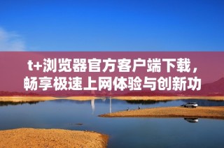 t+浏览器官方客户端下载，畅享极速上网体验与创新功能