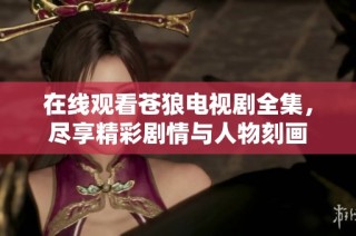 在线观看苍狼电视剧全集，尽享精彩剧情与人物刻画