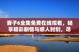 妻子6全集免费在线观看，畅享精彩剧情与感人时刻，尽在这里！