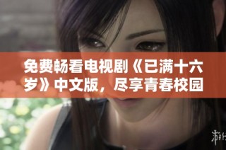 免费畅看电视剧《已满十六岁》中文版，尽享青春校园故事魅力