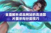 全面解析成品网站的高清图片展示与分类技巧