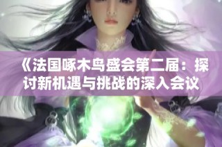 《法国啄木鸟盛会第二届：探讨新机遇与挑战的深入会议》