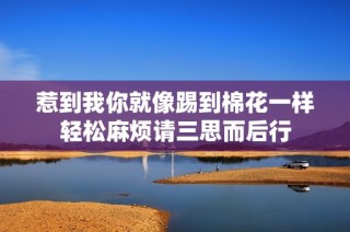 惹到我你就像踢到棉花一样轻松麻烦请三思而后行