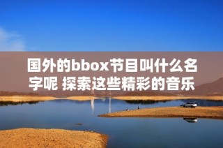 国外的bbox节目叫什么名字呢 探索这些精彩的音乐表演形式