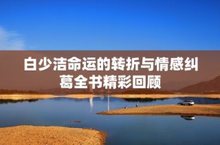 白少洁命运的转折与情感纠葛全书精彩回顾