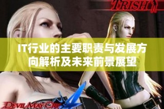 IT行业的主要职责与发展方向解析及未来前景展望