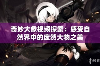 奇妙大象视频探索：感受自然界中的庞然大物之美