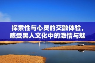 探索性与心灵的交融体验，感受黑人文化中的激情与魅力
