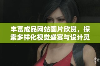 丰富成品网站图片欣赏，探索多样化视觉盛宴与设计灵感