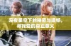 深夜星空下的秘密与遗憾，寻找爱的真正意义