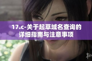 17.c-关于起草域名查询的详细指南与注意事项