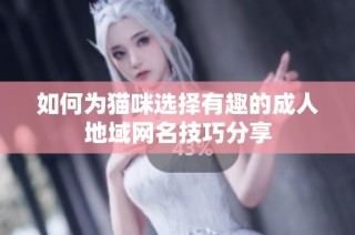 如何为猫咪选择有趣的成人地域网名技巧分享