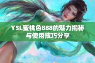 YSL蜜桃色888的魅力揭秘与使用技巧分享