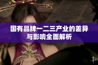 国有品牌一二三产业的差异与影响全面解析
