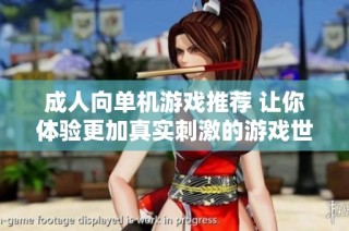成人向单机游戏推荐 让你体验更加真实刺激的游戏世界