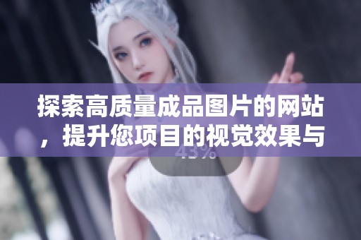 探索高质量成品图片的网站，提升您项目的视觉效果与吸引力