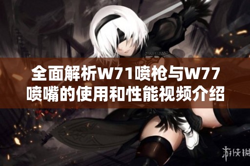 全面解析W71喷枪与W77喷嘴的使用和性能视频介绍