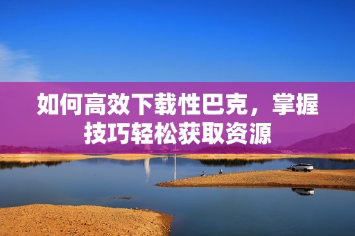 如何高效下载性巴克，掌握技巧轻松获取资源