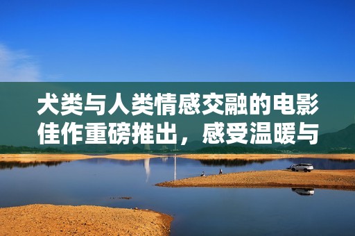 犬类与人类情感交融的电影佳作重磅推出，感受温暖与陪伴