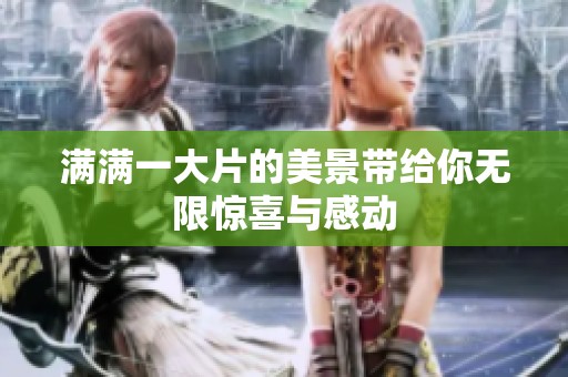 满满一大片的美景带给你无限惊喜与感动
