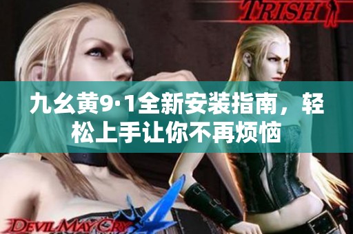 九幺黄9·1全新安装指南，轻松上手让你不再烦恼