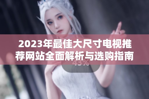 2023年最佳大尺寸电视推荐网站全面解析与选购指南