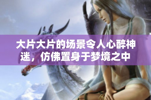 大片大片的场景令人心醉神迷，仿佛置身于梦境之中