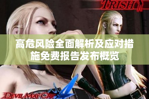 高危风险全面解析及应对措施免费报告发布概览