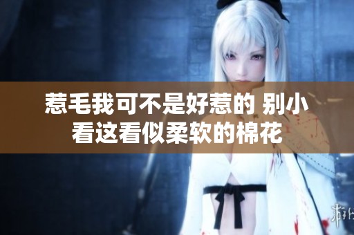惹毛我可不是好惹的 别小看这看似柔软的棉花