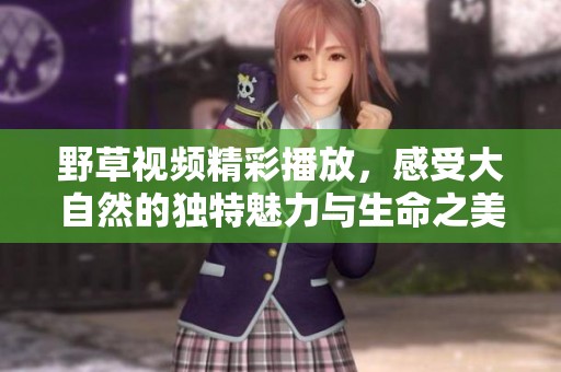 野草视频精彩播放，感受大自然的独特魅力与生命之美