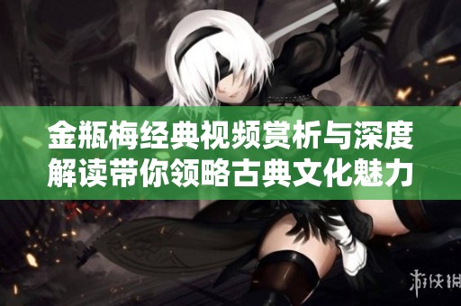 金瓶梅经典视频赏析与深度解读带你领略古典文化魅力