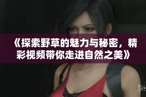 《探索野草的魅力与秘密，精彩视频带你走进自然之美》