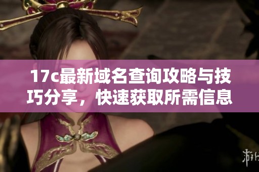 17c最新域名查询攻略与技巧分享，快速获取所需信息