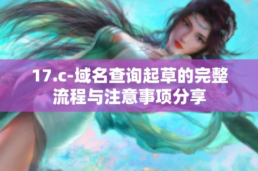 17.c-域名查询起草的完整流程与注意事项分享