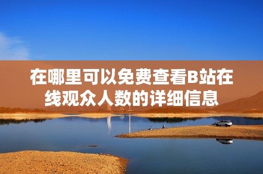 在哪里可以免费查看B站在线观众人数的详细信息