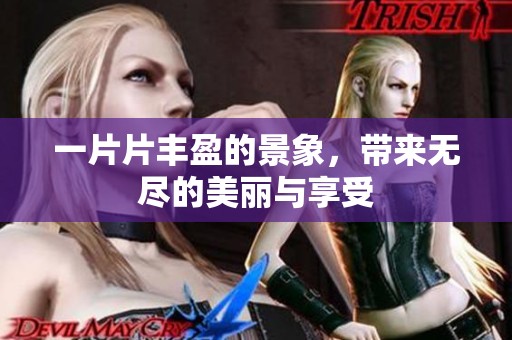 一片片丰盈的景象，带来无尽的美丽与享受