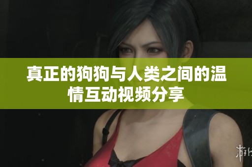 真正的狗狗与人类之间的温情互动视频分享