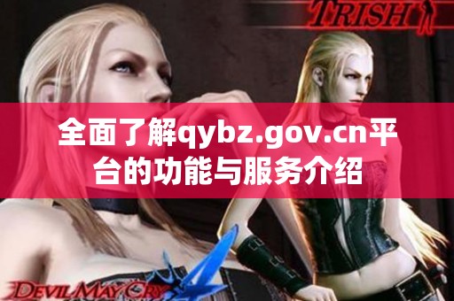 全面了解qybz.gov.cn平台的功能与服务介绍