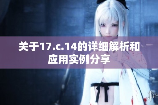 关于17.c.14的详细解析和应用实例分享