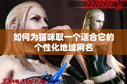 如何为猫咪取一个适合它的个性化地域网名