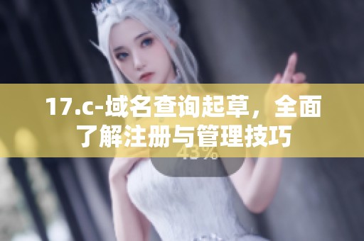 17.c-域名查询起草，全面了解注册与管理技巧