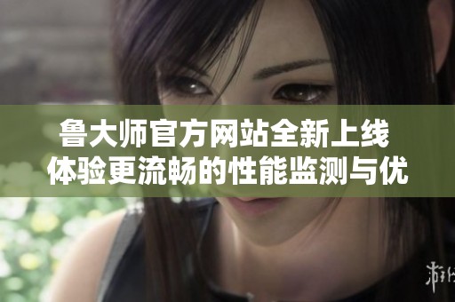 鲁大师官方网站全新上线 体验更流畅的性能监测与优化服务